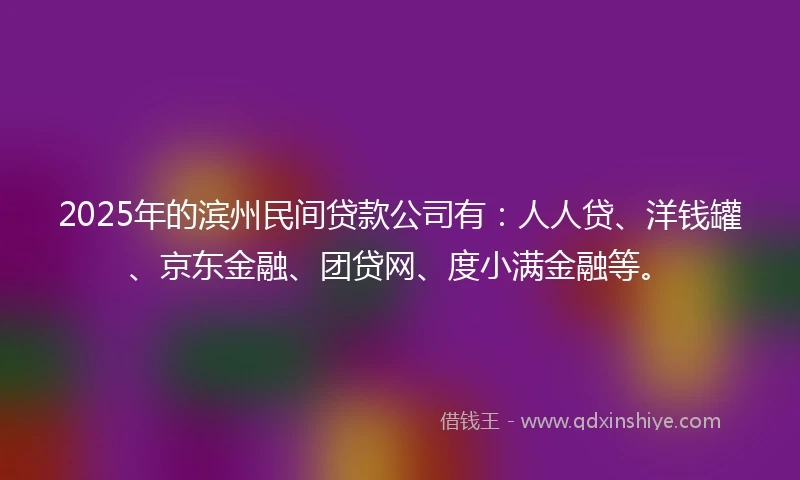 2025年的滨州民间贷款公司有：人人贷、洋钱罐、京东金融、团贷网、度小满金融等。
