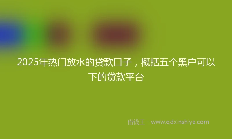 2025年热门放水的贷款口子，概括五个黑户可以下的贷款平台