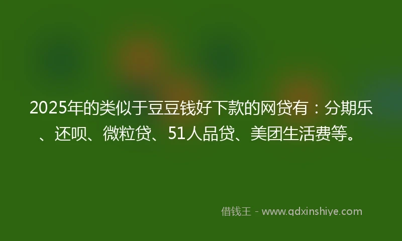 2025年的类似于豆豆钱好下款的网贷有：分期乐、还呗、微粒贷、51人品贷、美团生活费等。