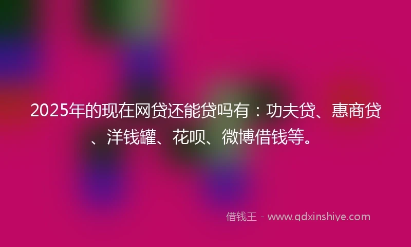 2025年的现在网贷还能贷吗有:功夫贷、惠商贷、洋钱罐、花呗、微博借钱等。