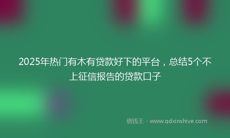 2025年热门有木有贷款好下的平台，总结5个不上征信报告的贷款口子