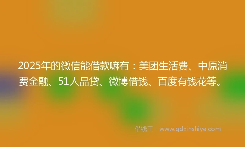2025年的微信能借款嘛有：美团生活费、中原消费金融、51人品贷、微博借钱、百度有钱花等。