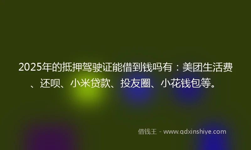 2025年的抵押驾驶证能借到钱吗有：美团生活费、还呗、小米贷款、投友圈、小花钱包等。