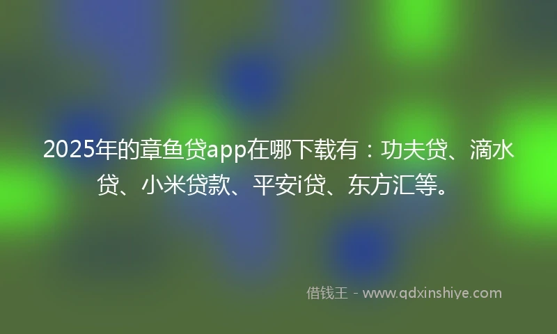 2025年的章鱼贷app在哪下载有：功夫贷、滴水贷、小米贷款、平安i贷、东方汇等。