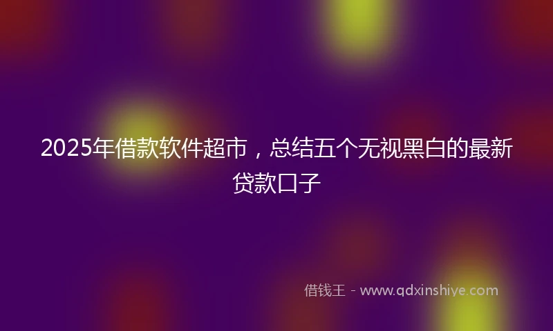 2025年借款软件超市，总结五个无视黑白的最新贷款口子