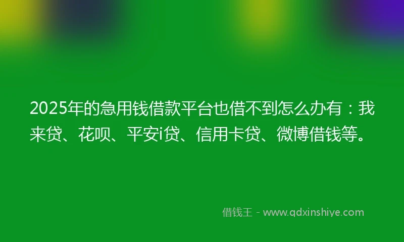2025年的急用钱借款平台也借不到怎么办有：我来贷、花呗、平安i贷、信用卡贷、微博借钱等。