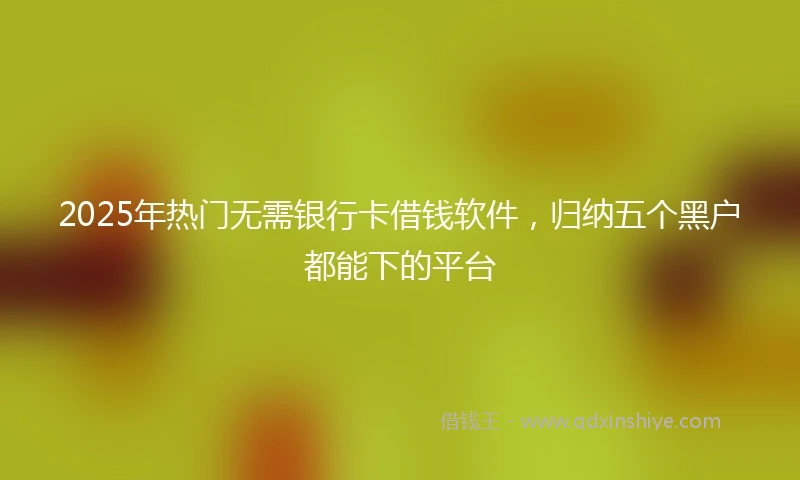 2025年热门无需银行卡借钱软件，归纳五个黑户都能下的平台