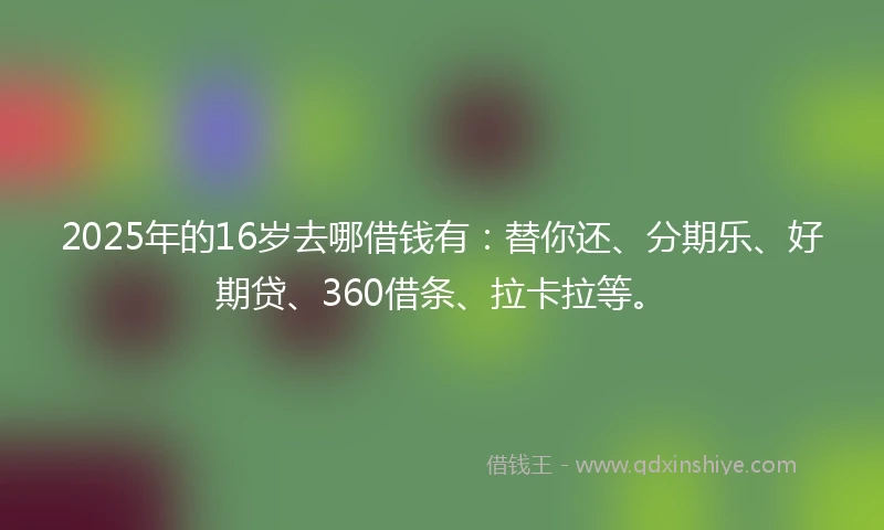 2025年的16岁去哪借钱有：替你还、分期乐、好期贷、360借条、拉卡拉等。
