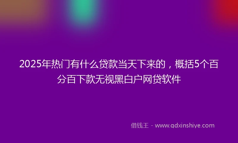 2025年热门有什么贷款当天下来的，概括5个百分百下款无视黑白户网贷软件