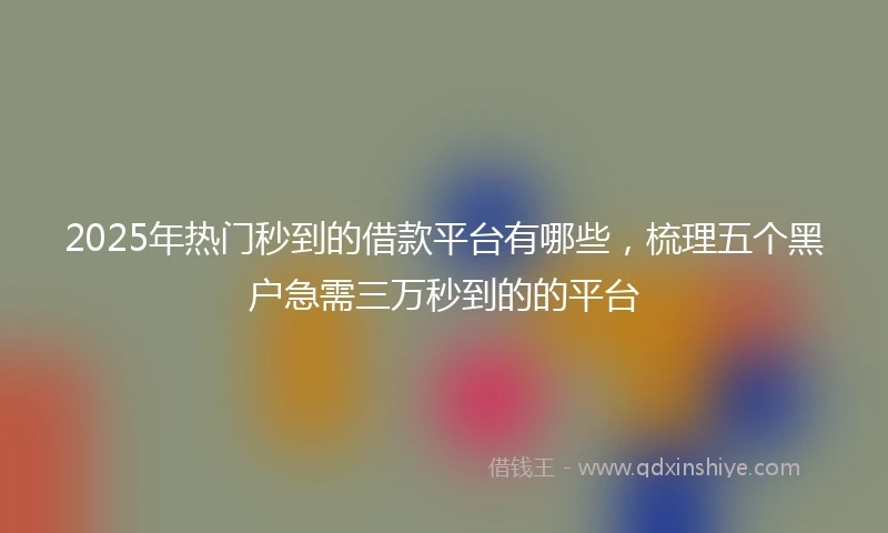 2025年热门秒到的借款平台有哪些，梳理五个黑户急需三万秒到的的平台
