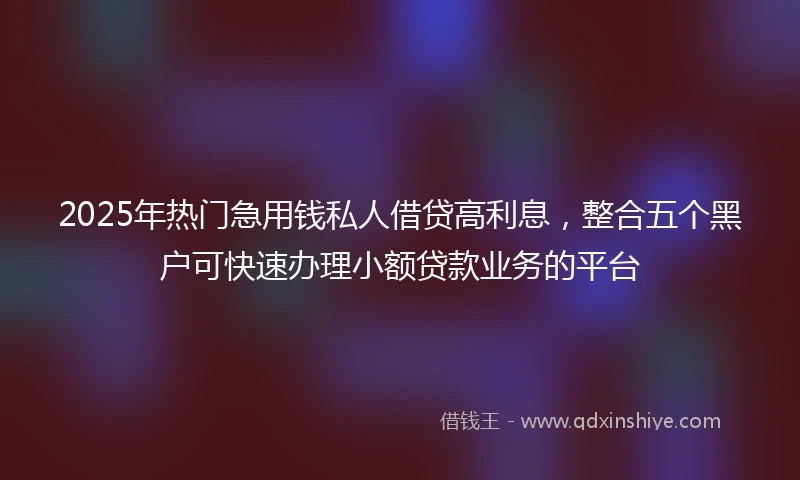 2025年热门急用钱私人借贷高利息，整合五个黑户可快速办理小额贷款业务的平台