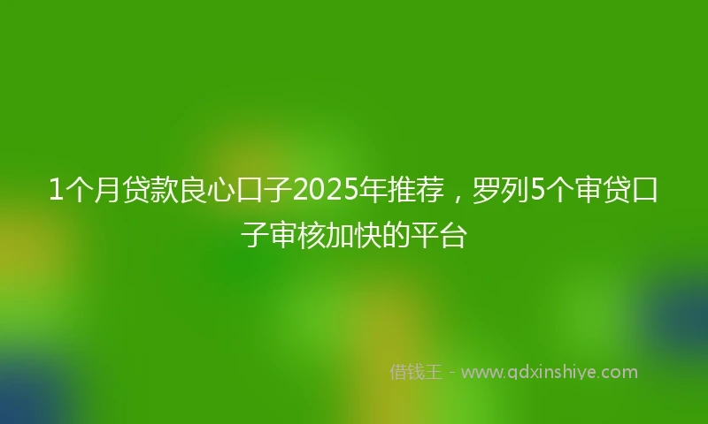 1个月贷款良心口子2025年推荐，罗列5个审贷口子审核加快的平台