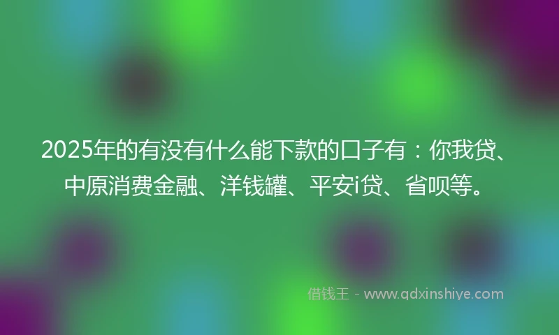 2025年的有没有什么能下款的口子有：你我贷、中原消费金融、洋钱罐、平安i贷、省呗等。