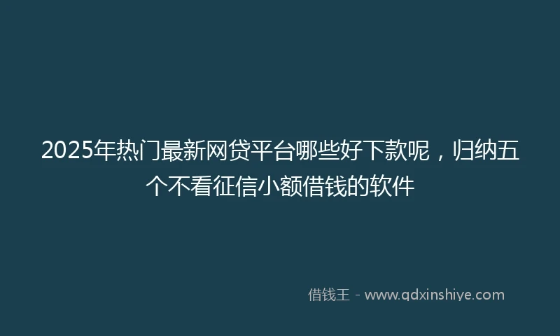 2025年热门最新网贷平台哪些好下款呢，归纳五个不看征信小额借钱的软件