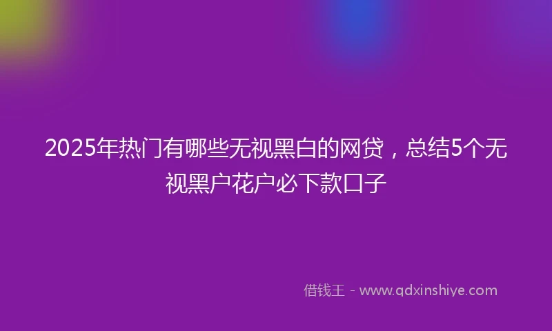 2025年热门有哪些无视黑白的网贷，总结5个无视黑户花户必下款口子