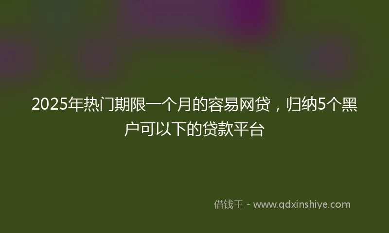 2025年热门期限一个月的容易网贷，归纳5个黑户可以下的贷款平台