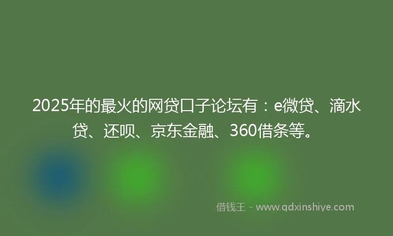 2025年的最火的网贷口子论坛有：e微贷、滴水贷、还呗、京东金融、360借条等。