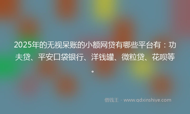 2025年的无视呆账的小额网贷有哪些平台有：功夫贷、平安口袋银行、洋钱罐、微粒贷、花呗等。