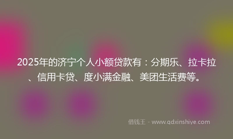 2025年的济宁个人小额贷款有：分期乐、拉卡拉、信用卡贷、度小满金融、美团生活费等。