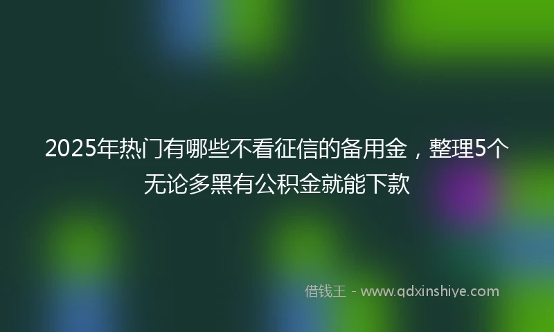 2025年热门有哪些不看征信的备用金，整理5个无论多黑有公积金就能下款