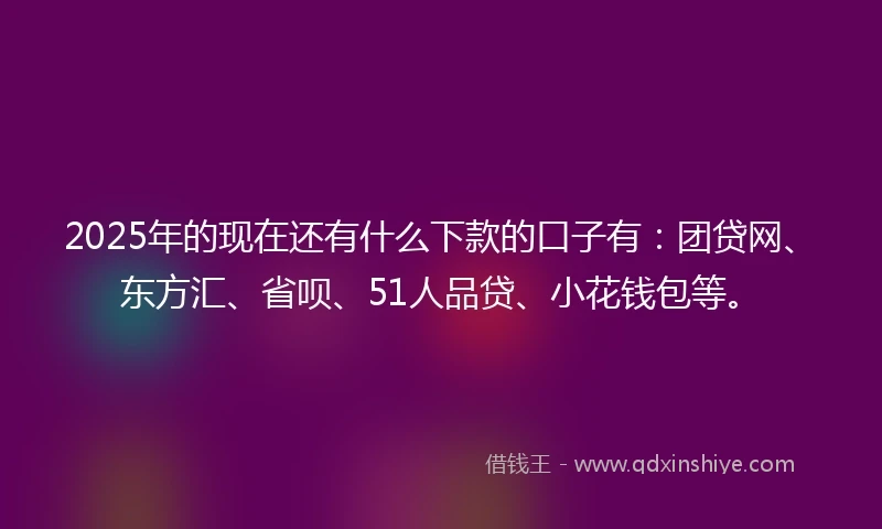 2025年的现在还有什么下款的口子有：团贷网、东方汇、省呗、51人品贷、小花钱包等。