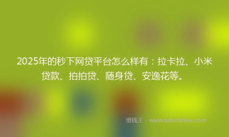 2025年的秒下网贷平台怎么样有：拉卡拉、小米贷款、拍拍贷、随身贷、安逸花等。