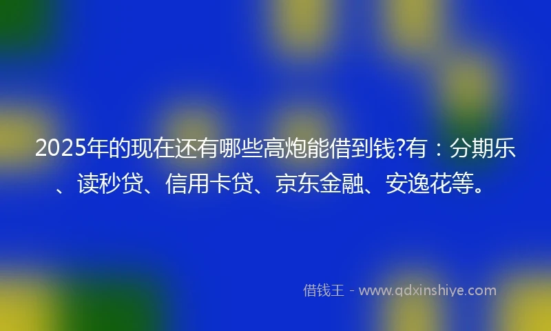 2025年的现在还有哪些高炮能借到钱?有：分期乐、读秒贷、信用卡贷、京东金融、安逸花等。