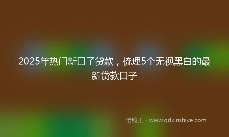 2025年热门新口子贷款，梳理5个无视黑白的最新贷款口子