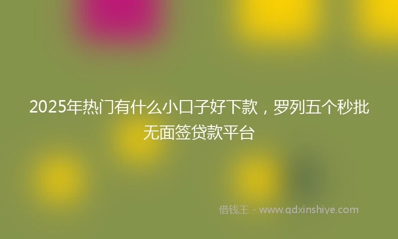 2025年热门有什么小口子好下款，罗列五个秒批无面签贷款平台