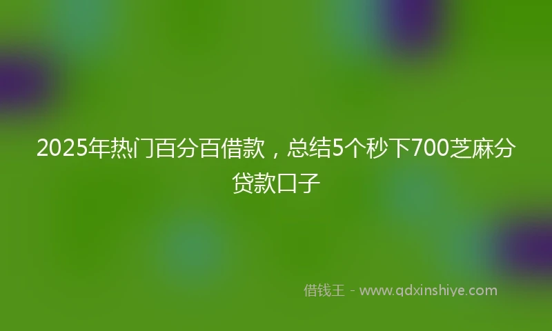 2025年热门百分百借款，总结5个秒下700芝麻分贷款口子