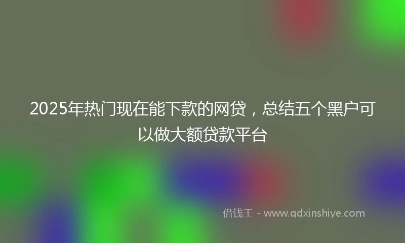 2025年热门现在能下款的网贷，总结五个黑户可以做大额贷款平台