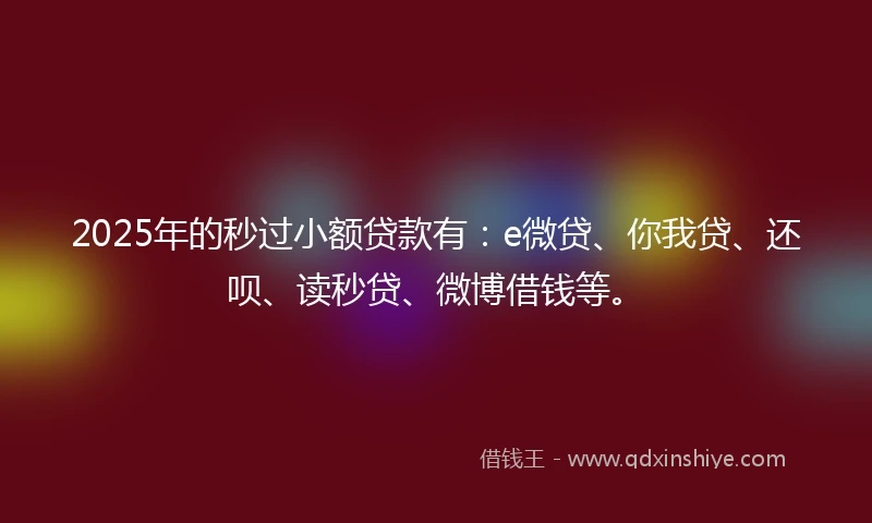 2025年的秒过小额贷款有：e微贷、你我贷、还呗、读秒贷、微博借钱等。