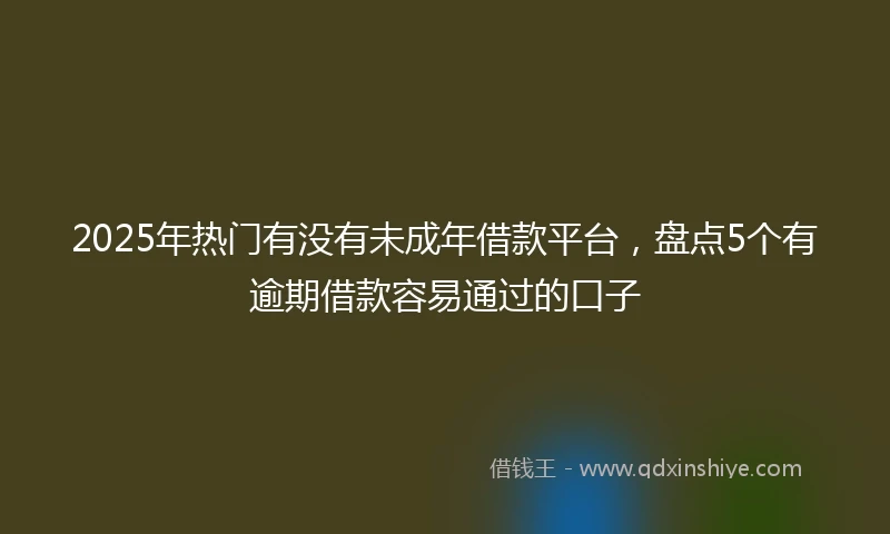 2025年热门有没有未成年借款平台，盘点5个有逾期借款容易通过的口子