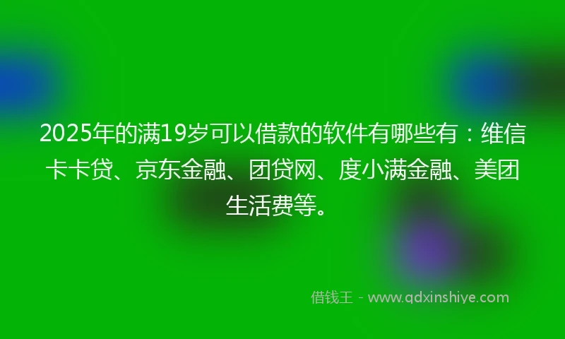 2025年的满19岁可以借款的软件有哪些有：维信卡卡贷、京东金融、团贷网、度小满金融、美团生活费等。