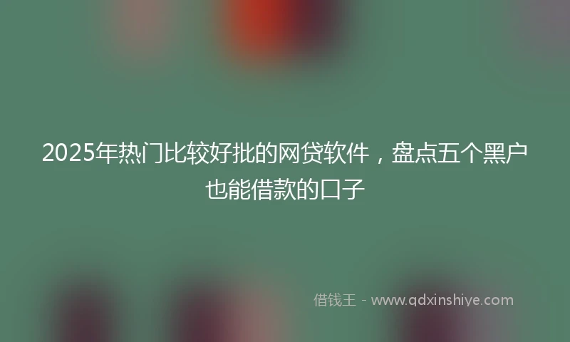 2025年热门比较好批的网贷软件，盘点五个黑户也能借款的口子
