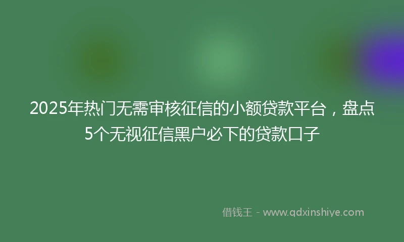 2025年热门无需审核征信的小额贷款平台，盘点5个无视征信黑户必下的贷款口子