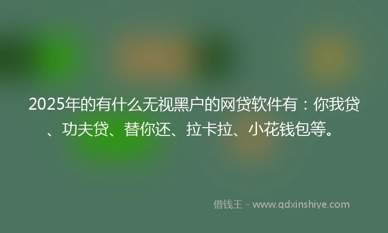 2025年的有什么无视黑户的网贷软件有：你我贷、功夫贷、替你还、拉卡拉、小花钱包等。
