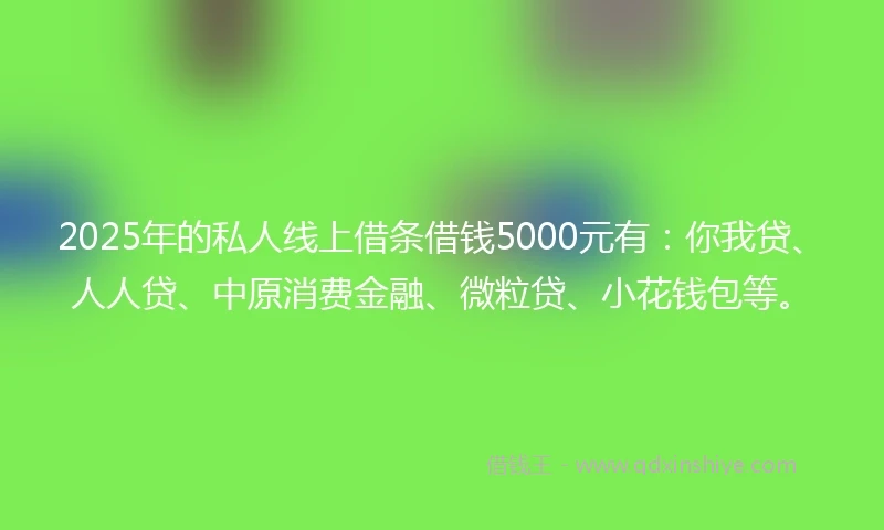 2025年的私人线上借条借钱5000元有：你我贷、人人贷、中原消费金融、微粒贷、小花钱包等。