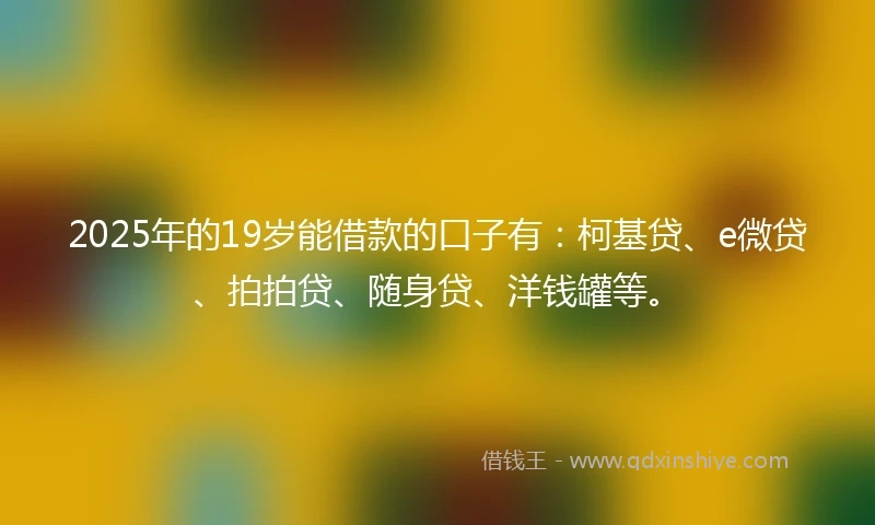 2025年的19岁能借款的口子有：柯基贷、e微贷、拍拍贷、随身贷、洋钱罐等。