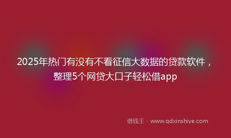 2025年热门有没有不看征信大数据的贷款软件，整理5个网贷大口子轻松借app
