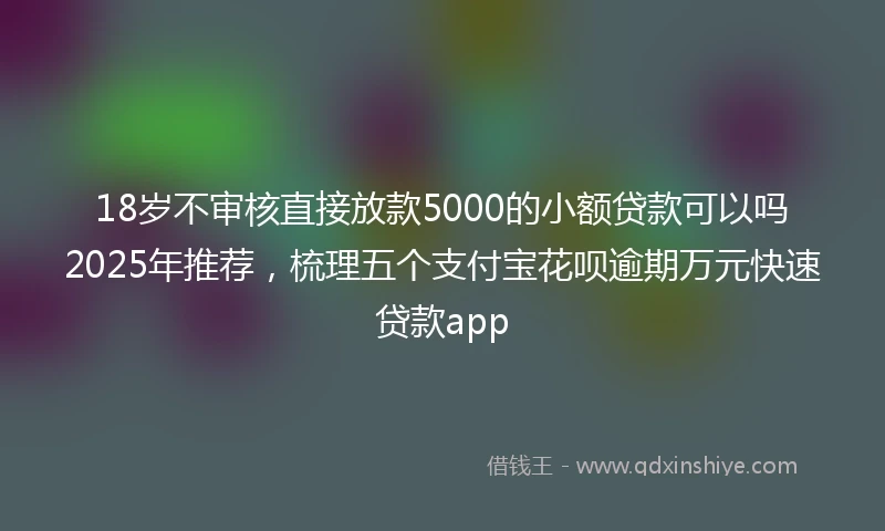 18岁不审核直接放款5000的小额贷款可以吗2025年推荐，梳理五个支付宝花呗逾期万元快速贷款app