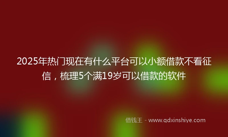 2025年热门现在有什么平台可以小额借款不看征信，梳理5个满19岁可以借款的软件