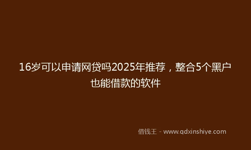 16岁可以申请网贷吗2025年推荐，整合5个黑户也能借款的软件