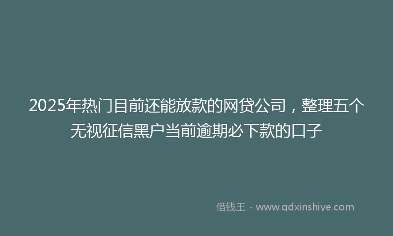 2025年热门目前还能放款的网贷公司，整理五个无视征信黑户当前逾期必下款的口子