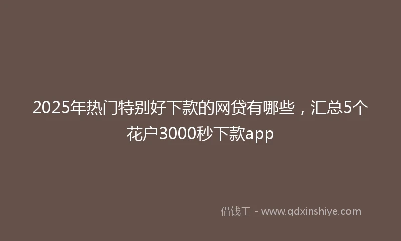 2025年热门特别好下款的网贷有哪些，汇总5个花户3000秒下款app