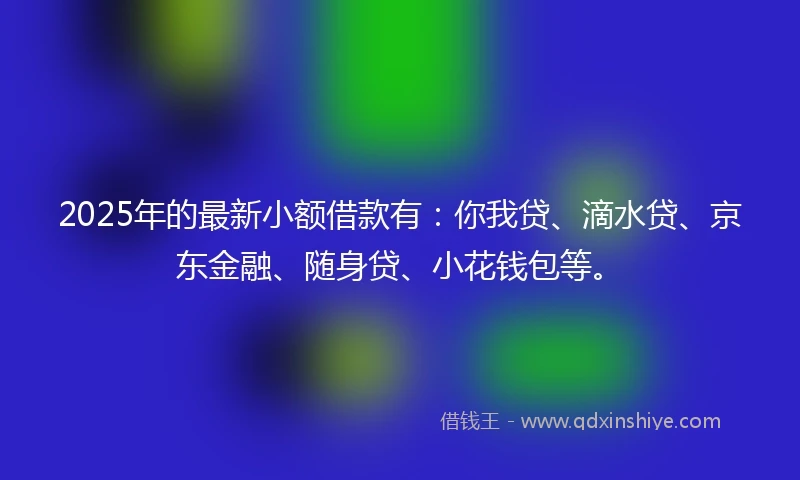 2025年的最新小额借款有：你我贷、滴水贷、京东金融、随身贷、小花钱包等。