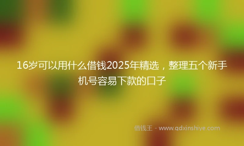 16岁可以用什么借钱2025年精选，整理五个新手机号容易下款的口子