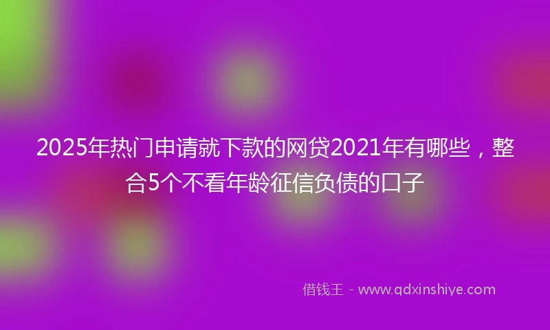 2025年热门申请就下款的网贷2021年有哪些，整合5个不看年龄征信负债的口子