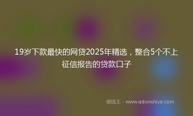 19岁下款最快的网贷2025年精选，整合5个不上征信报告的贷款口子