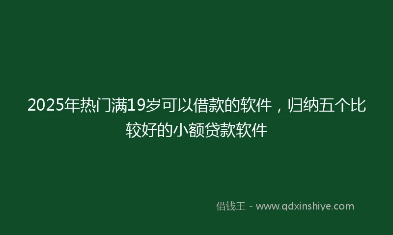 2025年热门满19岁可以借款的软件，归纳五个比较好的小额贷款软件